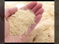 WPC ha scanalato nella vendita diretta della fabbrica dei pannelli di parete a prova di fuoco ed a prova d'umidità