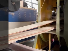 Impermeabile di parete di WPC della fabbrica insonorizzata dei pannelli ed a prova d'umidità diretti